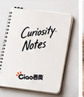 Curiosity Notes 笔记本 · 效果图
